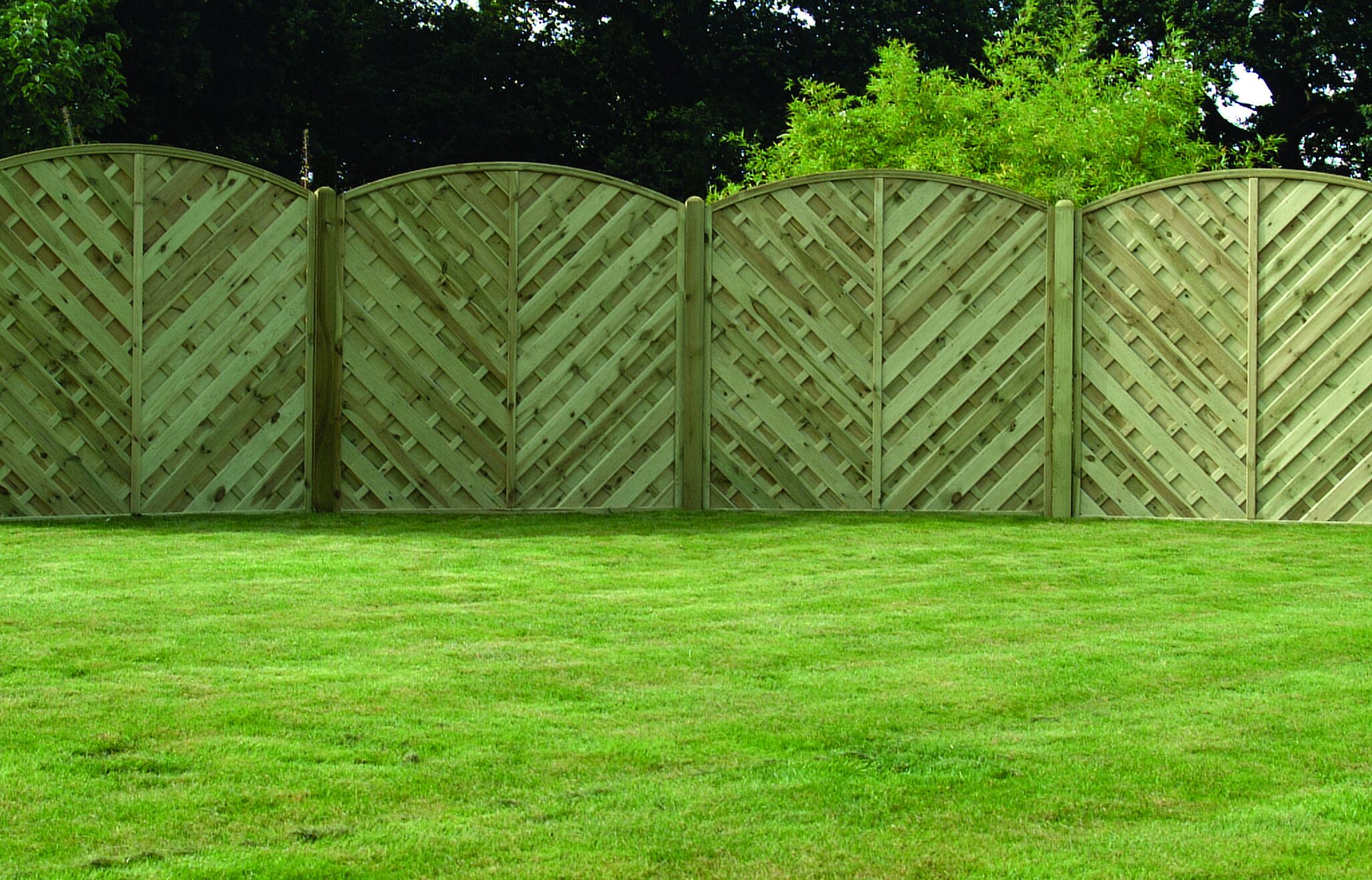 Timber Focus Richmond V' Arched Fence Panels